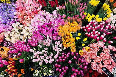 养马模拟游戏《风暴：深厚友谊的开始 重置版》现已在Steam平台正式发售